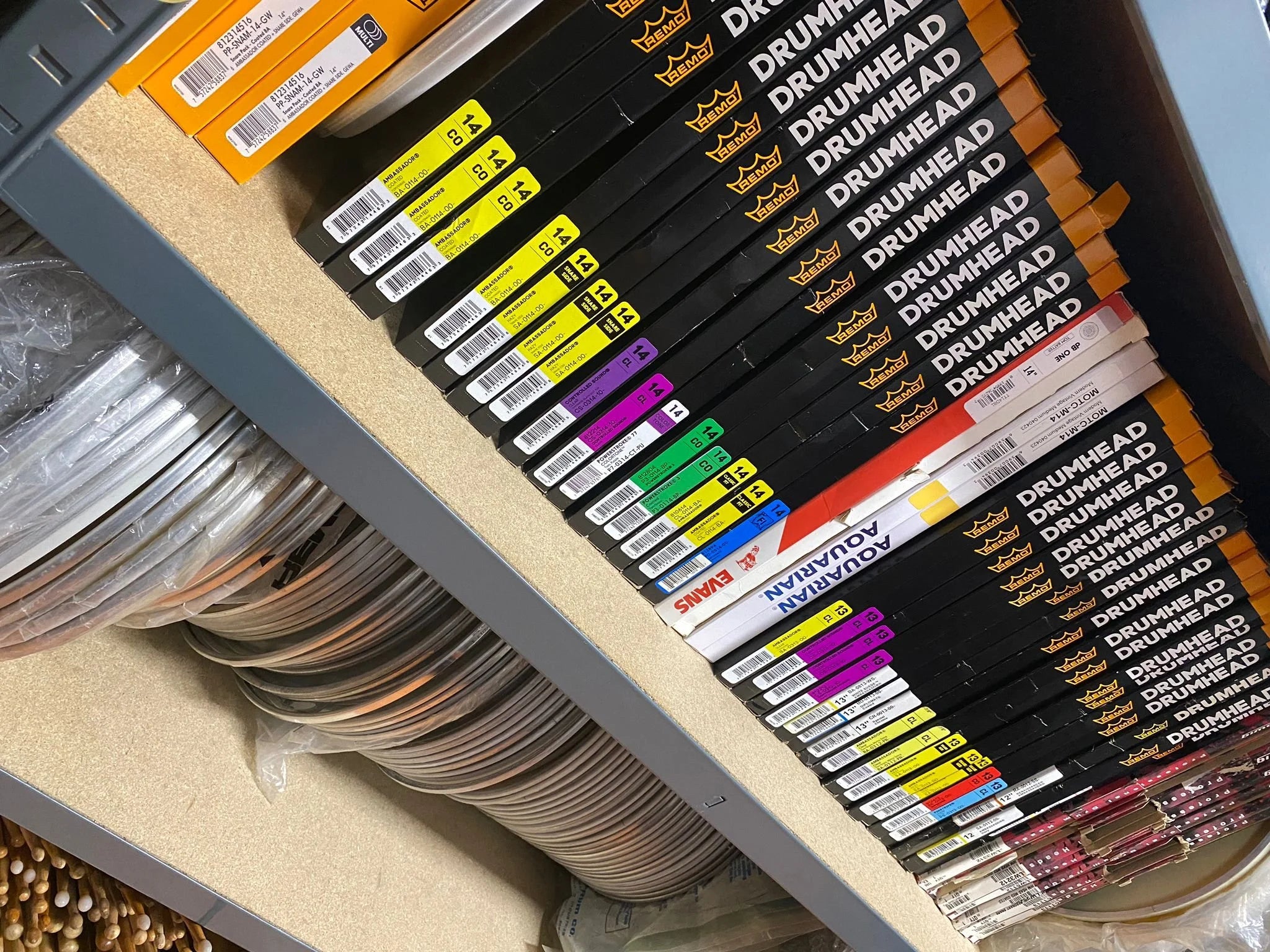 16" Remo Coated Emperor  BE-0116-00