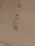 Ludwig Pioneer 14" x 5" Snare Drum 1966 - Silver (Ginger) Sparkle