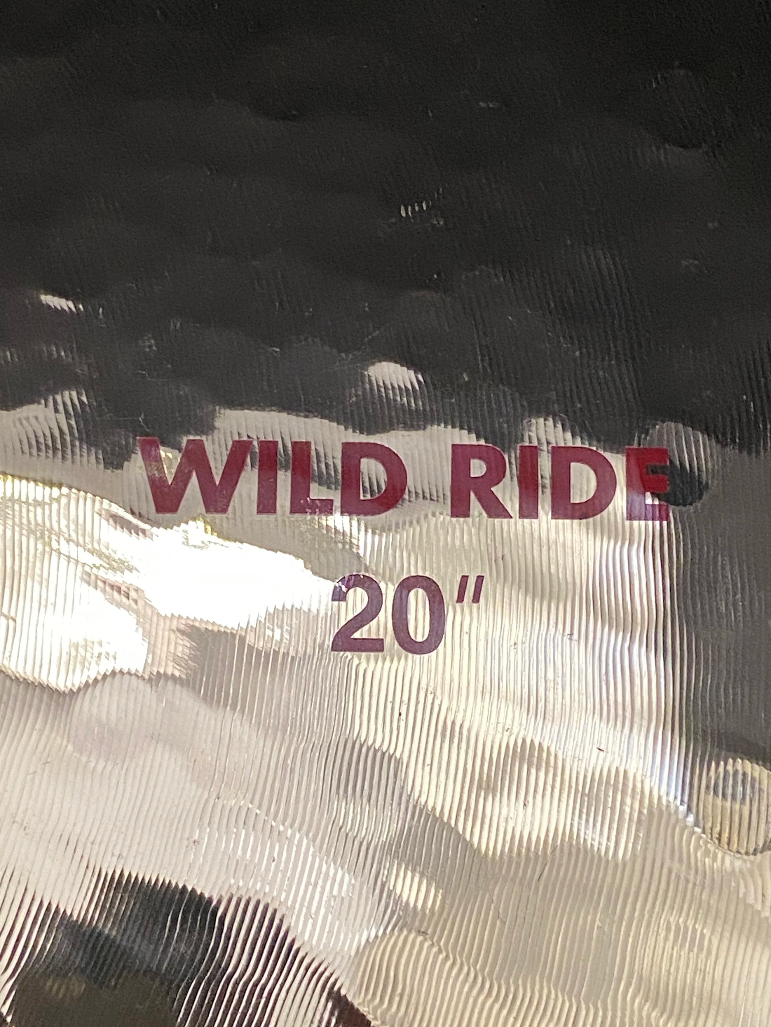 20" Paiste 2002 Wild Ride 2540 grams from 2007