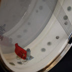 1964 Ludwig Downbeat 14"x 4" snare drum Black Oyster Pearl